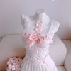 Cute lace bow suit yv31639