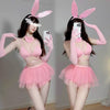 Cute Pink Bunny Lingerie Set  YV50164