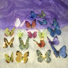 Fashion butterfly face sticker yv43418