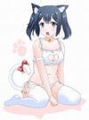 Japanese cos kooku water cat suit yv05