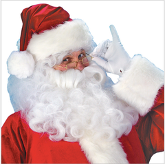 Cosplay Santa Claus suit yv46025
