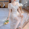 Flower embroidery lace dress yv30161
