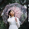 Harajuku Cherry Blossom Transparent Folding Umbrella YV2016