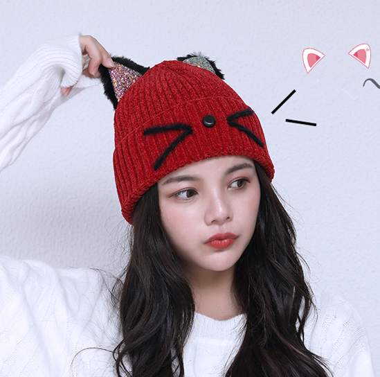 Cute cat ears knit hat yv40825