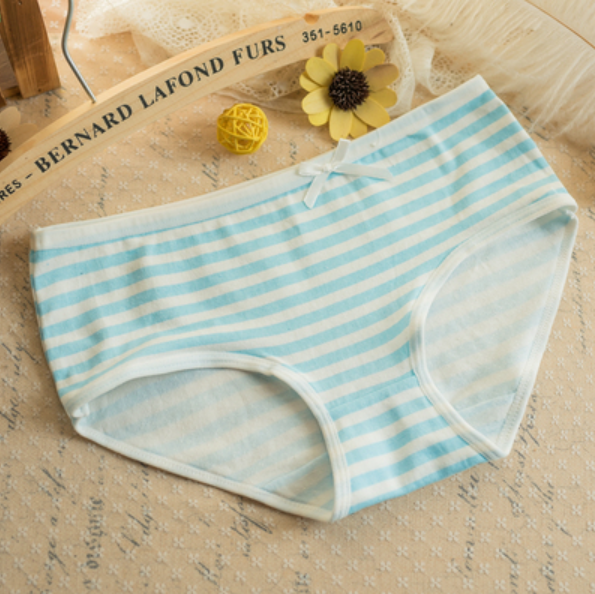 Cute Cotton Stripe Panties Briefs Japanese Style Anime Cosplay Bikini  Underwear