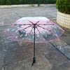 Cherry automatic transparent umbrella YV40196