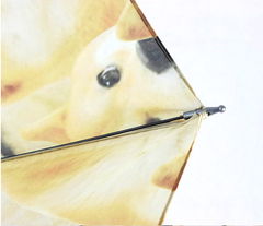 Doge folding umbrella YV2216